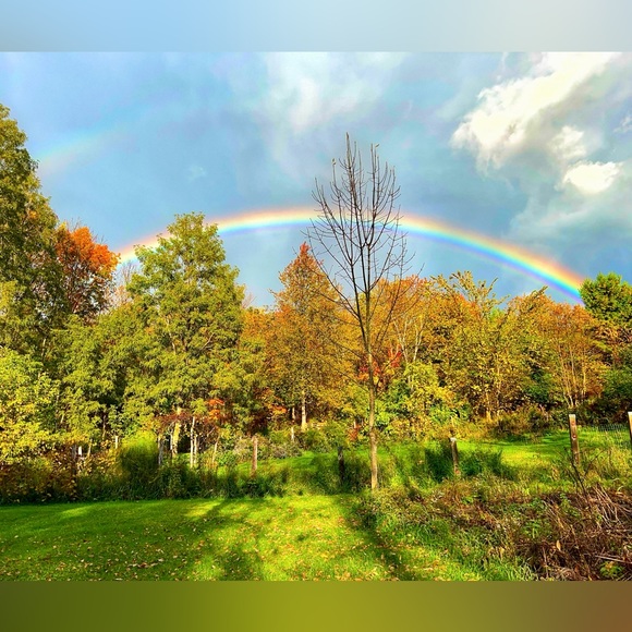 Meet your Posher, Bekah - Picture 3 of 9